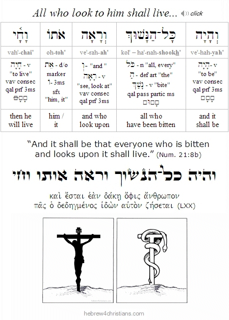 Numbers 21:8b Hebrew Lesson