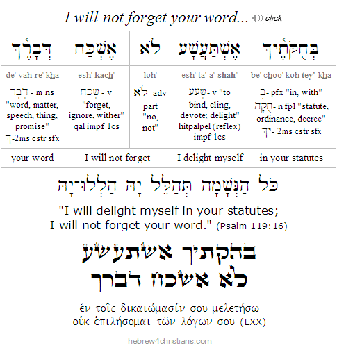 Psalm 119:16 Hebrew lesson