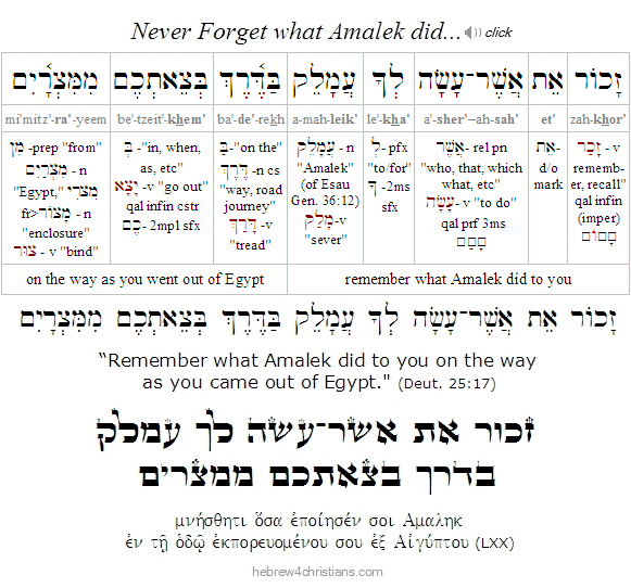 Deut. 25:17 Hebrew Lesson