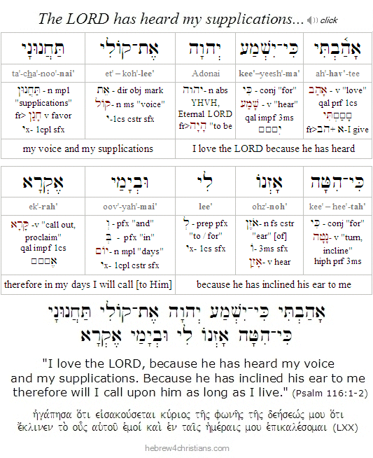 Psalm 116:1-2 Hebrew Lesson