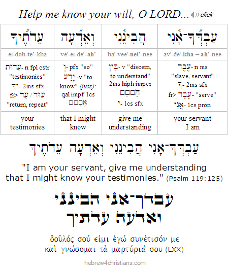 Psalm 119:25 Hebrew lesson