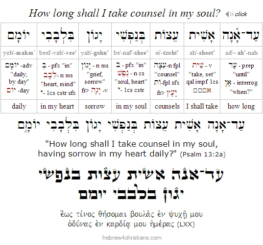 Psalm 13:2a Hebrew lesson