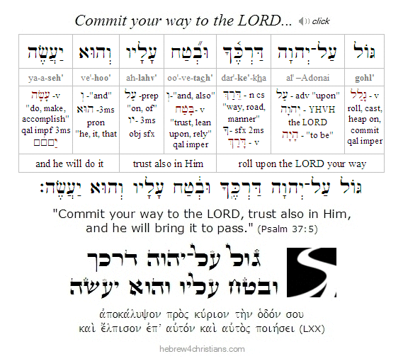 Shalom Israel Comforter – The Smile of Adonai