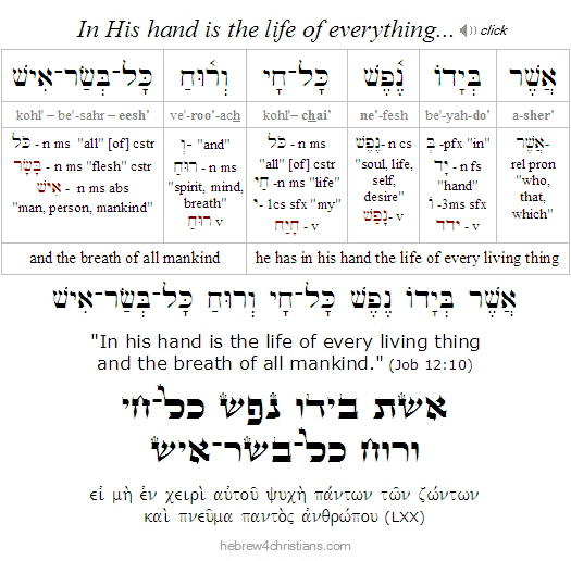 Job 12:10 Hebrew Lesson