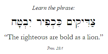 Learn the Hebrew phrase