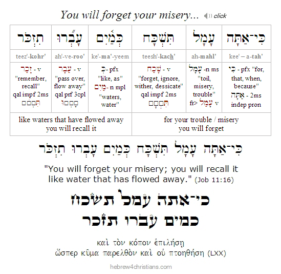 Job 11:16 Hebrew lesson