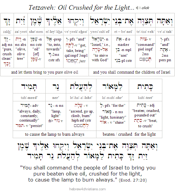 Exodus 20:27a Hebrew analysis