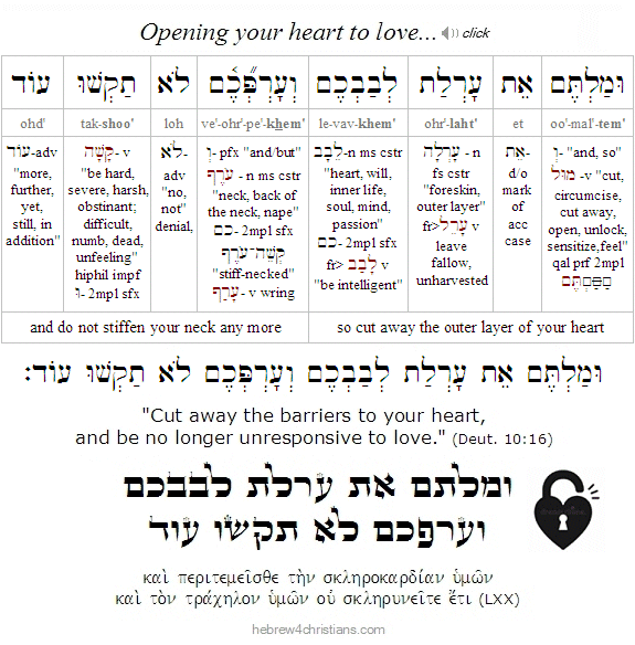 Deut 10:16 Hebrew Lesson