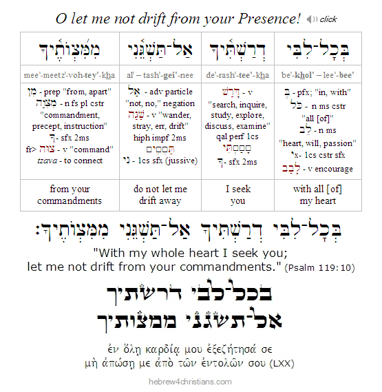 Psalm 119:10 Hebrew Lesson