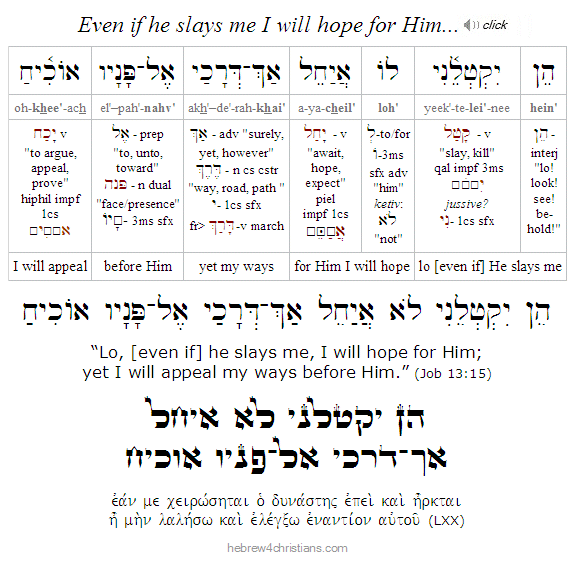 Job 13:15 Hebrew Analysis