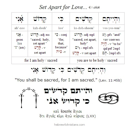 Lev 11:45 Hebrew Lesson