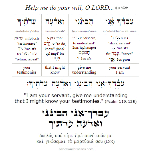 Psalm 119:25 Hebrew lesson