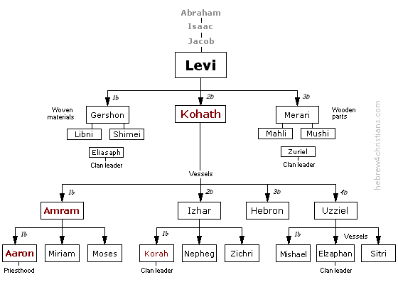 Tribe of Levi Genealogy