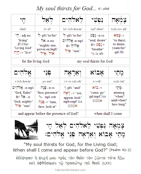 Psalm 42:2 Hebrew lesson 