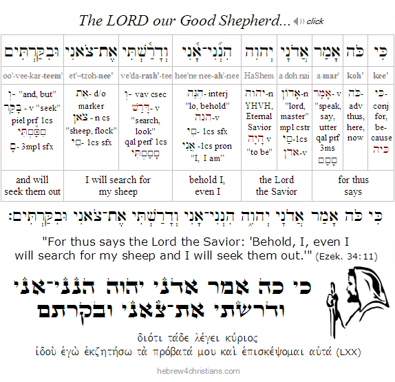 Ezekiel 34:11 Hebrew lesson