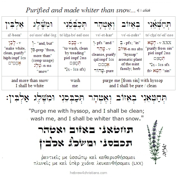 Psalm 51:7 Hebrew analysis