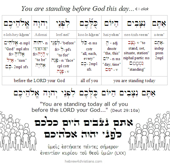 Deut 29:10 Hebrew analysis