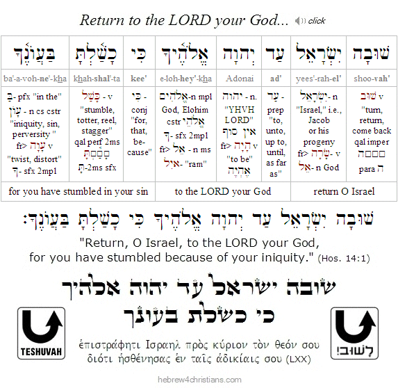 Hosea 14:1 Hebrew lesson