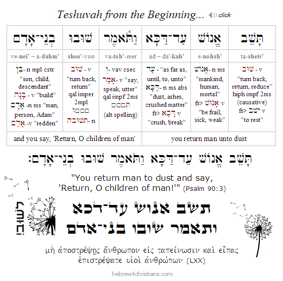 Psalm 90:3 Hebrew lesson