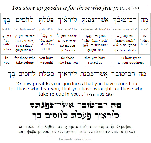 Psalm 31:19a Hebrew lesson