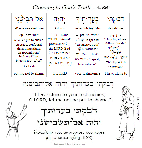 Psalm 119:31 Hebrew lesson