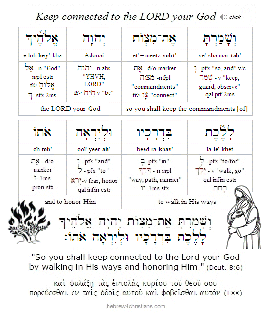 Psalm 147:3 Hebrew Lesson
