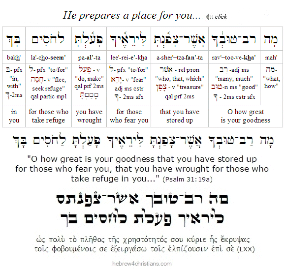 Psalm 31:19 Hebrew Lesson