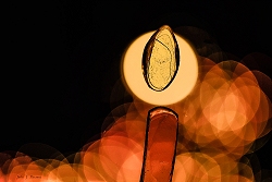 Photo by John Parsons