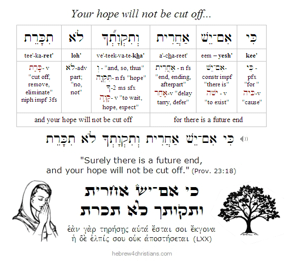 Proverbs 23:18 Hebrew lesson