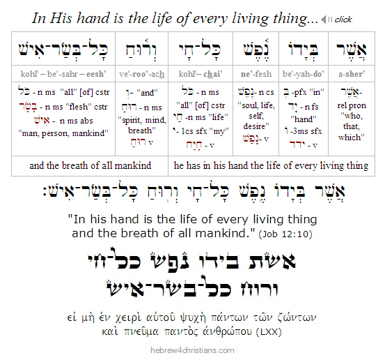 Job 12:10 Hebrew Lesson