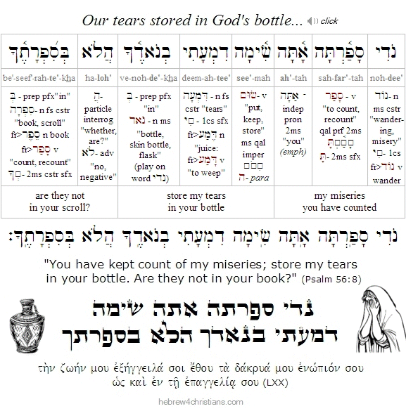 Psalm 56:8 Hebrew Lesson