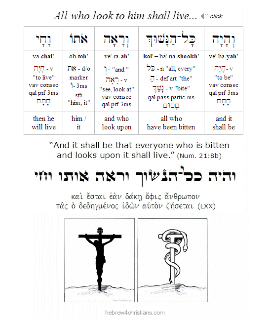 Numbers 21:8b Hebrew Lesson