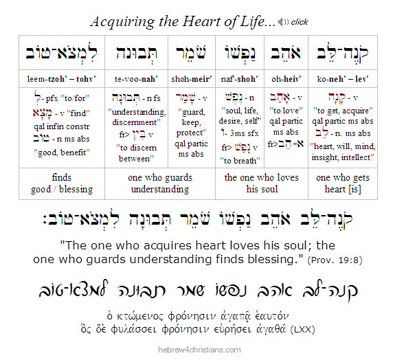 Proverbs 19:8 Hebrew lesson