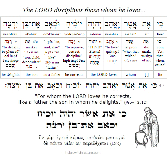 Proverbs 3:12 Hebrew Commentary