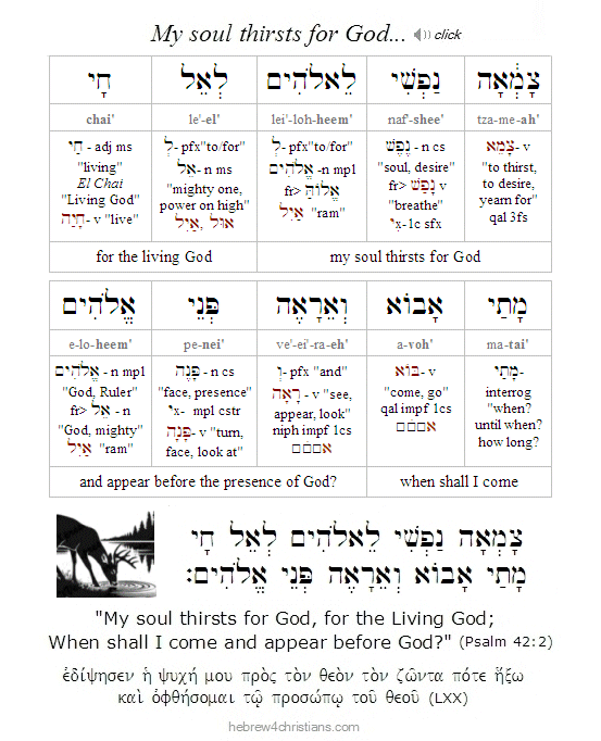 Psalm 42:2 Hebrew lesson 
