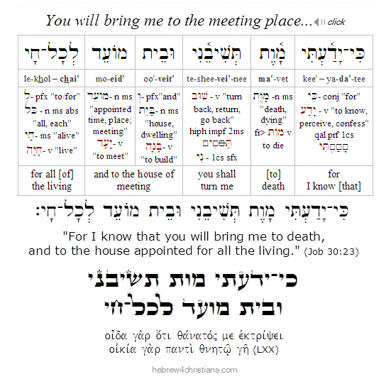 Job 30:23 Hebrew for Christians