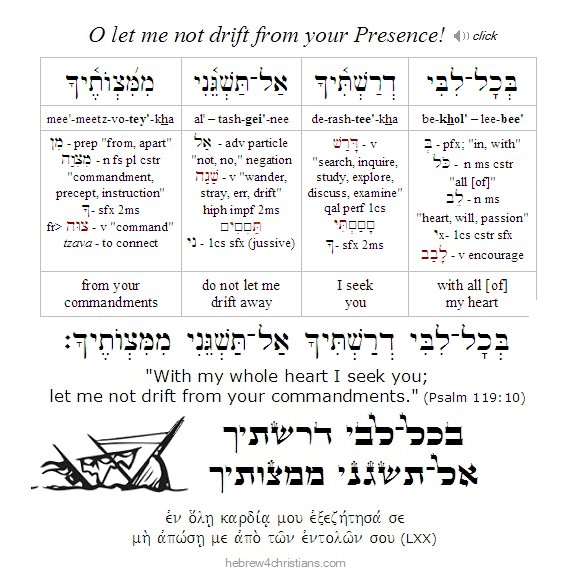 Psalm 119:10 Hebrew Lesson