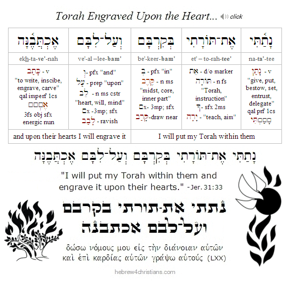 Jeremiah 31:33 Hebrew