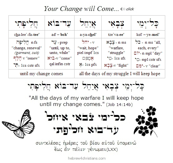 Job 14:14b Hebrew Lesson