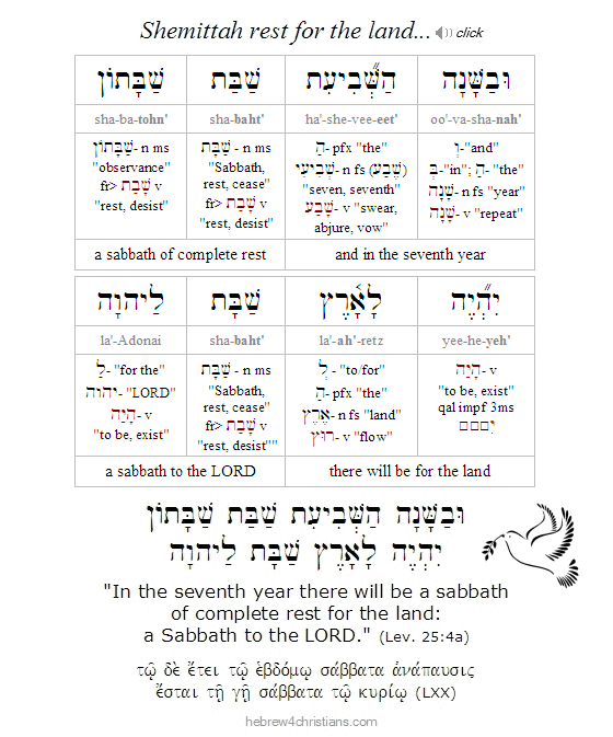 Leviticus 25:1 Hebrew lesson