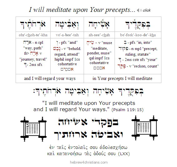 Psalm 119:15 Hebrew lesson