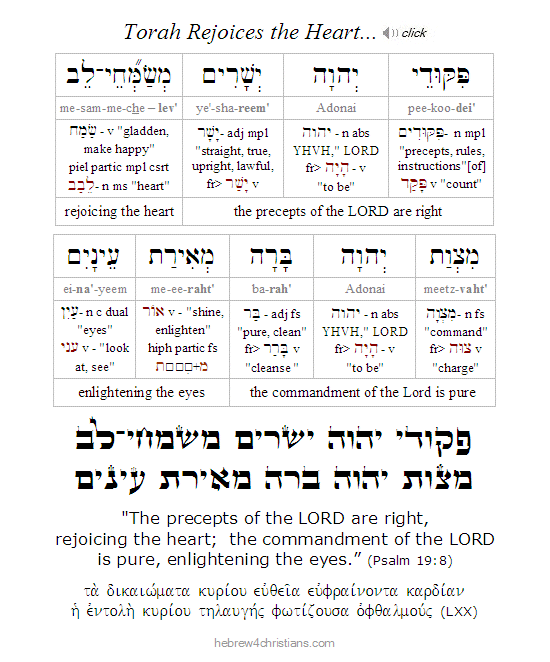 Psalm 19:8 Hebrew lesson