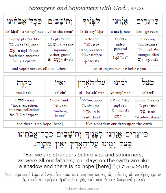 1 Chron. 29:15 Hebrew analysis