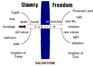 Crossing over to Life