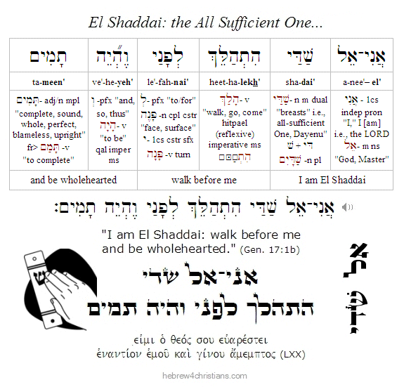 Genesis 17:1 Hebrew Lesson