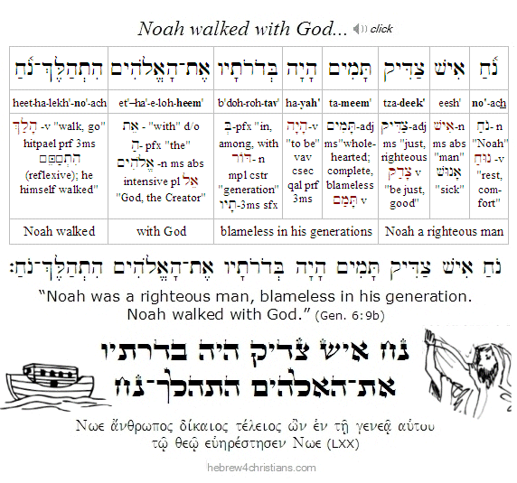 Genesis 6:9b Hebrew lesson