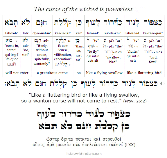 Proverbs 26:2 Hebrew Lesson