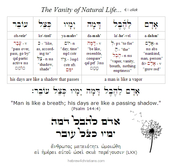 Psalm 144:4 Hebrew Lesson