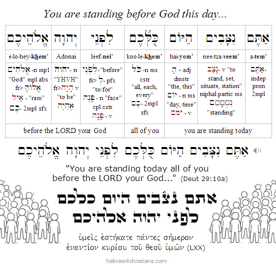 Deut 29:10 Hebrew analysis