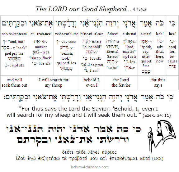 Ezekiel 34:11 Hebrew lesson